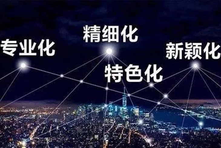 專(zhuān)精特新中小企業(yè)甄選