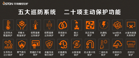 菲思盾壁掛爐的安全系統