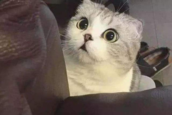 拉尼娜已確定來(lái)襲